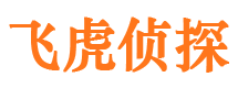 柳林婚外情调查取证